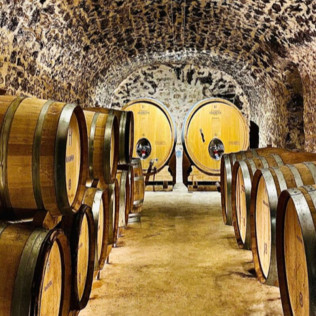 Dégustation de 6 Cuvées au Domaine Harlin (Mareuil-le-Port, Marne - 51)