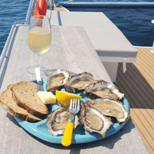 Croisière en Catamaran dans le Golfe du Morbihan au départ de Quiberon (Morbihan - 56)