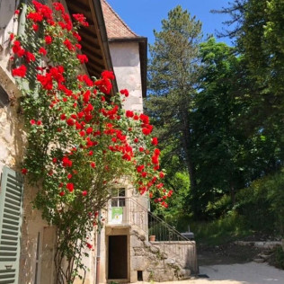 Séjour en chambre “Adonaï” avec Petit-Déjeuner au Château de Montanges (Montanges, Ain - 01)