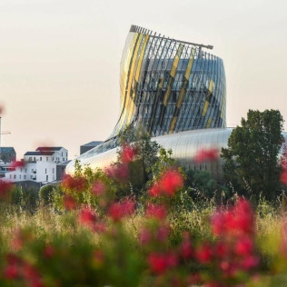 Entrée à la Cité du Vin et Dégustation de Vin au Château Belloy pour deux (Saint-Michel-de-Fronsac, Gironde - 33)