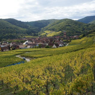 Séjour Œnologique avec Dîner et Dégustation de Vins d'Alsace avec Secrets de Vignobles (Colmar, Haut-Rhin - 68)