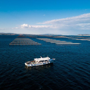 Balade en Bateau avec Dégustation d'Huîtres (Marseillan, Hérault - 34)