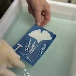 Atelier Cyanotype à Lille (Templemars, Nord - 59)