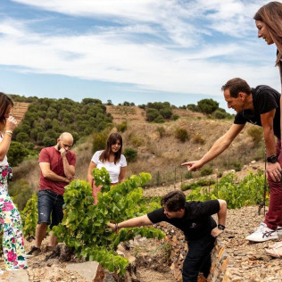 Atelier Œnologique d’Initiation à la Dégustation de Vin pour deux aux Terres des Templiers (Banyuls-sur-Mer - 66)
