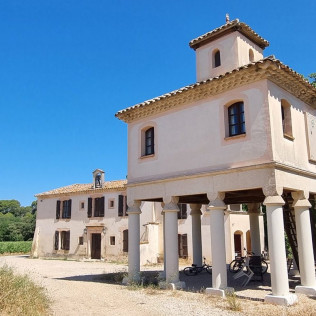 Dégustation de Vin à l'Aveugle (Gignac, Hérault - 34)