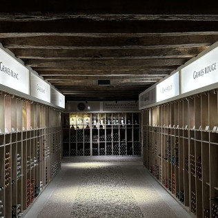 Dégustation de Vin et Visite Œnologique (Podensac, Gironde - 33)