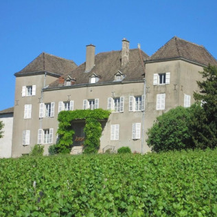 Visite et Dégustation de Vin Mâcon pour deux au Château de la Greffière (La Roche Vineuse, Bourgogne - 71)