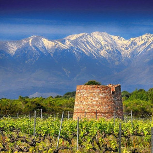Visite Privative avec Dégustation Verticale de Vin au Domaine de Rombeau (Rivesaltes, Occitanie - 66)
