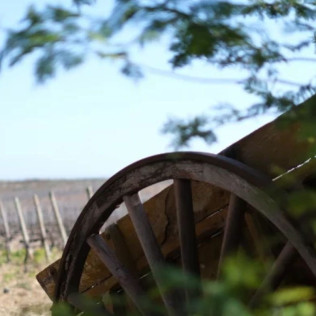Visite Privative avec Dégustation Verticale de Vin au Domaine de Rombeau (Rivesaltes, Occitanie - 66)