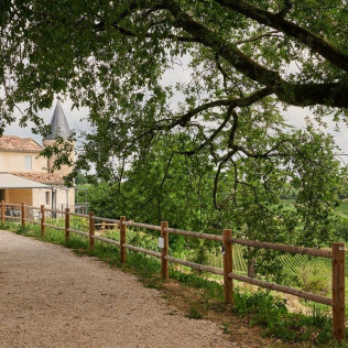 Visite avec Dégustation de Vins et Assiette au Château La Croizille (Saint-Émilion, Gironde- 33)