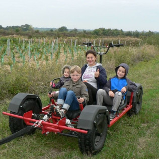 Doggy Kart avec des chiens nordiques (Chênehutte, Maine-et-Loire - 49)