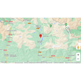 Escapade dans la Neige avec Dîner, Motoneige, Raquettes et Construction d'igloos (Huesca, Espagne)