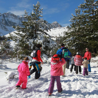 Pack de Survie Nordique : Orientation, Raquettes et Construction d'Igloos (Huesca, Espagne)