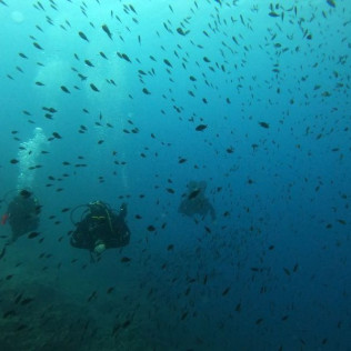 Randonnée Palmée en Mer Méditerranée (Fréjus, Var - 83)