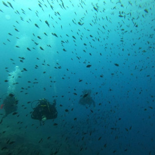 Chasse au Trésor Aquatique (Fréjus, Var - 83)