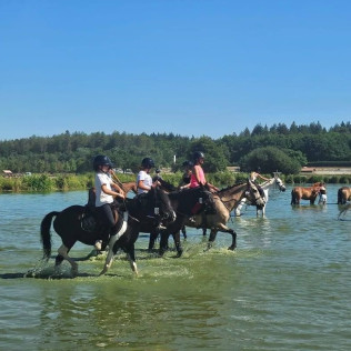 Initiation au Poney Club Le Cheyenne (Seine-et-Marne, Île-de-France- 77)