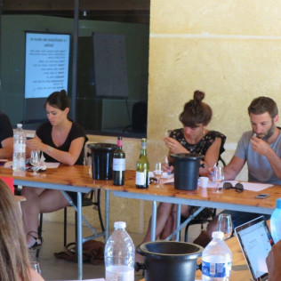 Apprendre à Déguster, Parler du Vin et Connaître son Élaboration pour deux (Montpellier, Hérault - 34)