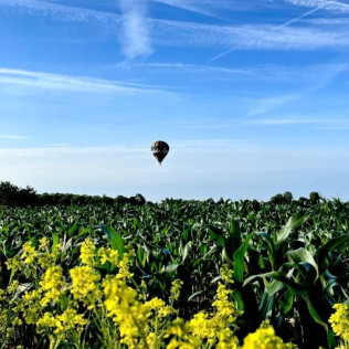 Vol en Montgolfière au départ d’Amiens, Abbeville, Arras et Saint-Omer (Hauts-de-France)