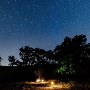 Séjour Insolite : Nuit dans un Dôme avec Jacuzzi Privatif et Repas aux Bulles Perchées de Lartigue (Margouet-Meymes, Gers - 32)
