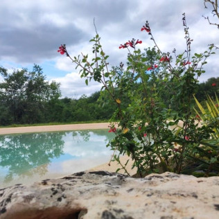 Séjour en Logement Insolite : Nuit dans une Arche Bioclimatique avec Champagne, Spa Privé et Piscine Chauffée (Le Vignon-en-Quercy, Lot - 46)