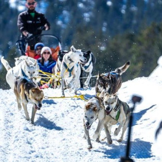 OFFRE Mushing : 2 Km en Traîneau et assurance (Andorre)