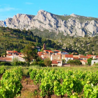 Séjour en Gîte avec Dégustation de Vin et Assiette Gourmande au Domaine Vents du Sud (Vingrau, Pyrénées-Orientales - 66)