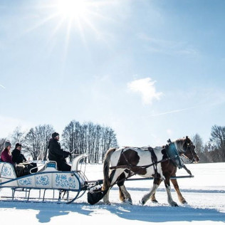 Balade en Traîneau à Cheval Privatisé Grand Nord (La Féclaz, Savoie - 73)