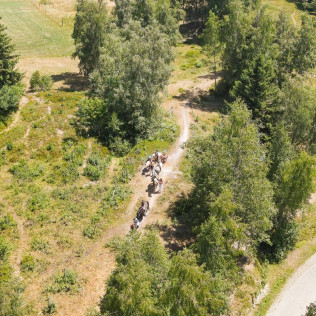 Randonnée à Cheval Revard Bellevue (La Féclaz, Savoie - 73)