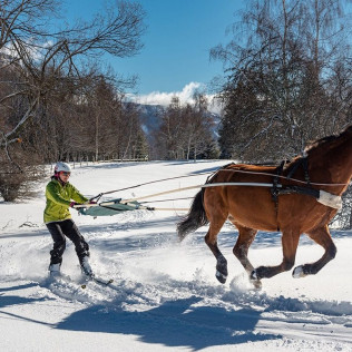 Ski-Joëring dans les Alpes (La Féclaz, Savoie - 73)