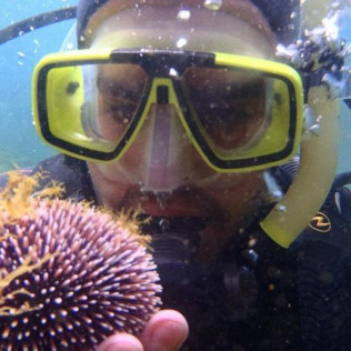 Plongeur Niveau 1 ou Scuba Diver (Gignac-la-Nerthe, Bouches-du-Rhône - 13)