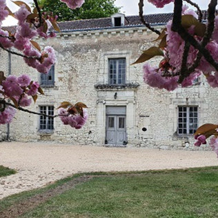 Séjour avec Dîner et Panier du Terroir au Domaine de Bourgville (Monts-sur-Guesnes, Vienne - 86)
