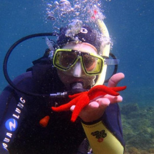 Plongeur Niveau 1 ou Scuba Diver (Gignac-la-Nerthe, Bouches-du-Rhône - 13)