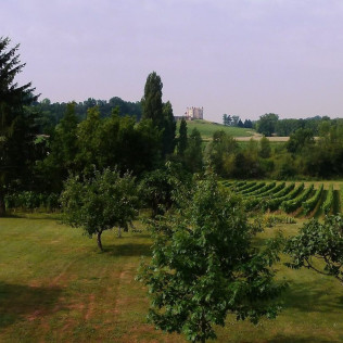 Séjour Œnologique avec Visite et Dégustation au Château des Faures (Puisseguin-Monbadon, Gironde - 33)