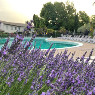 Séjour en Chambre Supérieure avec Dîner et Spa à l'Hôtel Les Oliviers (Loriol-sur-Drôme, Drôme - 26)