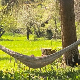 Séjour en Suite “Le Lieu Secret” avec Petit-Déjeuner au Château de Montanges (Montanges, Ain - 01)