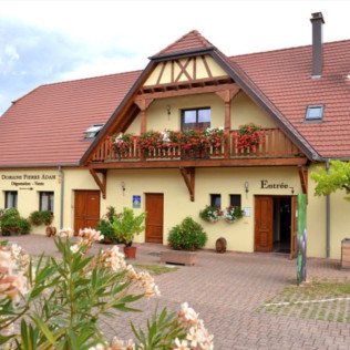 Séjour en Chambre d’Hôtes au Domaine Pierre Adam (Haut-Rhin, Alsace - 68)