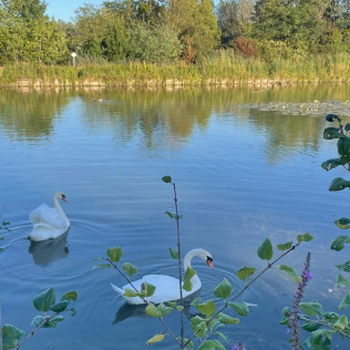 Séjour Insolite : Nuit en Lodge Refuge avec Bain Nordique Privatif au Domaine du Canal (Montcresson, Loiret - 45)