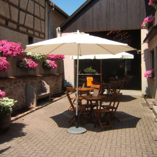 Visite de Cave en Alsace et Découverte du Vin (Saint-Hippolyte, Haut-Rhin - 68)