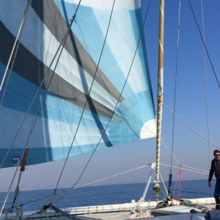 Sortie en Catamaran d’une Demi-Journée (Le Grau-du-Roi, Gard - 30)