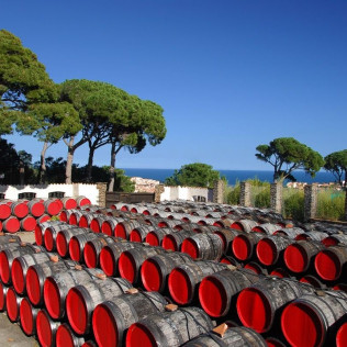 Visite Vigneronne et Gourmande avec Dégustation pour deux aux Terres des Templiers (Banyuls-sur-Mer - 66)