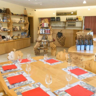 Atelier Découverte des Vins d’Alsace et Visite de Cave en Duo au Domaine Pierre Adam (Haut-Rhin, Alsace - 68)