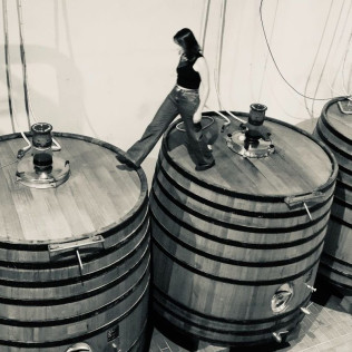 Visite avec Dégustation de 3 Vins et Pique-nique en Duo aux Vignobles Chatonnet (Néac, Gironde - 33)