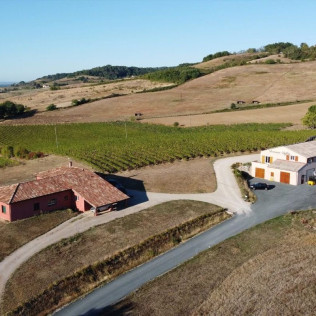 Visite du Domaine Viticole Duffau avec Dégustation de Vins (Gaillac, Tarn - 81)