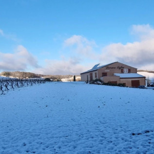 Visite du Domaine Viticole Duffau avec Dégustation de Vins (Gaillac, Tarn - 81)