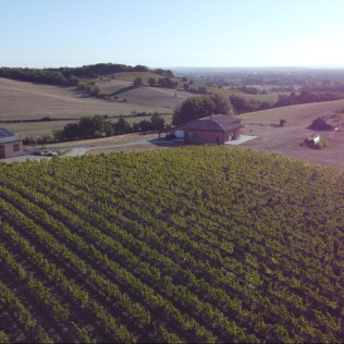 Visite du Domaine Viticole Duffau avec Dégustation de Vins (Gaillac, Tarn - 81)