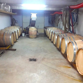 Visite du Domaine Viticole Duffau avec Dégustation de Vins (Gaillac, Tarn - 81)