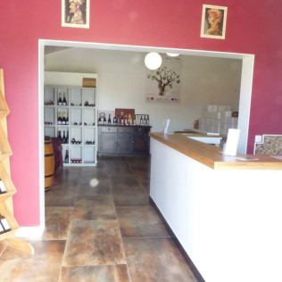 Visite du Domaine Viticole Duffau avec Dégustation de Vins (Gaillac, Tarn - 81)