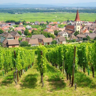 Mini-Rallye Découverte et Visite du Vignoble en Duo au Domaine Pierre Adam (Haut-Rhin, Alsace - 68)