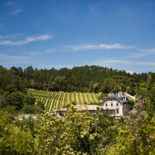 Visite Oenotouristique Héritage avec Dégustation pour deux (Saint-Polycarpe, Aude - 11)