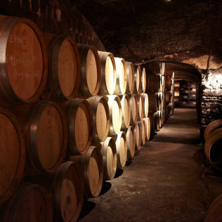 Visite Gourmande de la Cave avec Dégustation de Vin pour deux aux Terres des Templiers (Banyuls-sur-Mer - 66)